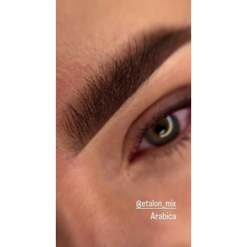Etalon Mix Mineral №10 "ARABICA" - 10ml - FOR BROWS