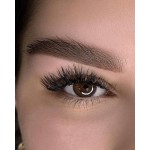 TINEL "B3" Cocoa - 10ml - FOR BROWS