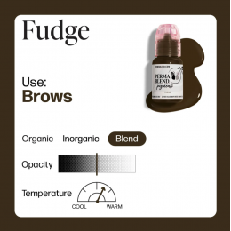 Perma Blend "Fudge" - 15ml - FOR BROWS