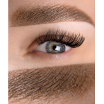 Etalon Mix Hybrid №1 "HAZELNUT" - 5ml - FOR BROWS