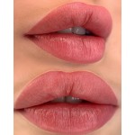 Etalon Mix №6 "DUSTY ROSE" - 5ml - FOR LIPS
