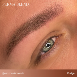 Perma Blend "Fudge" - 15ml - FOR BROWS
