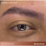 Perma Blend "Blackish Brown" - 15ml - FOR BROWS