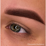 Perma Blend "Dark Forest Brown" - 15ml - FOR BROWS
