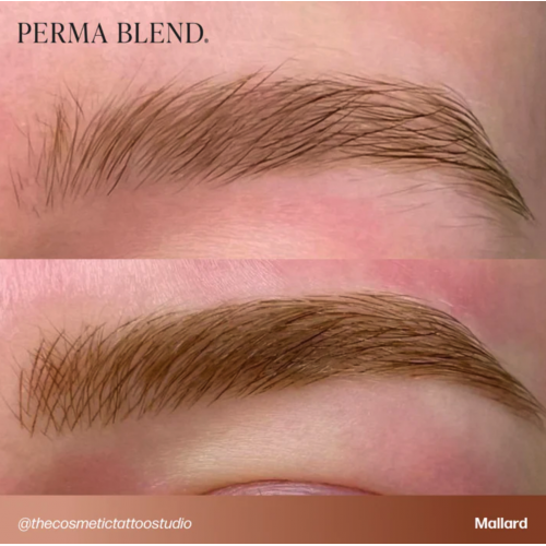 Perma Blend "Mallard" - 15ml - FOR BROWS