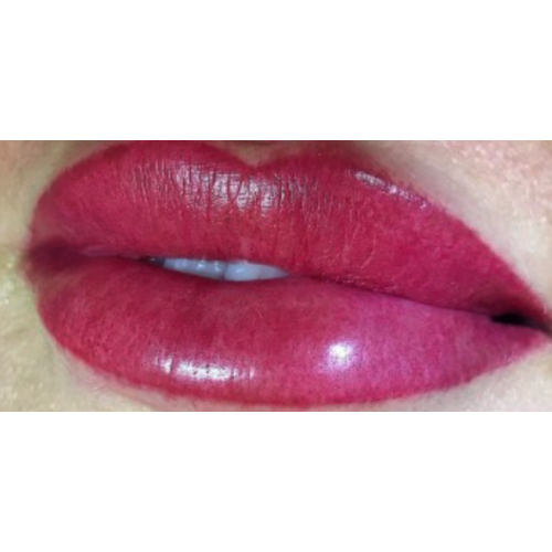 Perma Blend "Pillow Talk" - 15ml - FOR LIPS