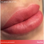Perma Blend "Tres Pink" - 15ml - FOR LIPS